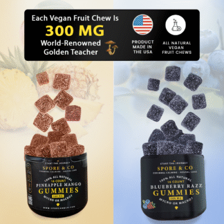 Vegan Earthly Fruit Chews