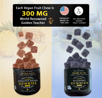 Vegan Earthly Fruit Chews
